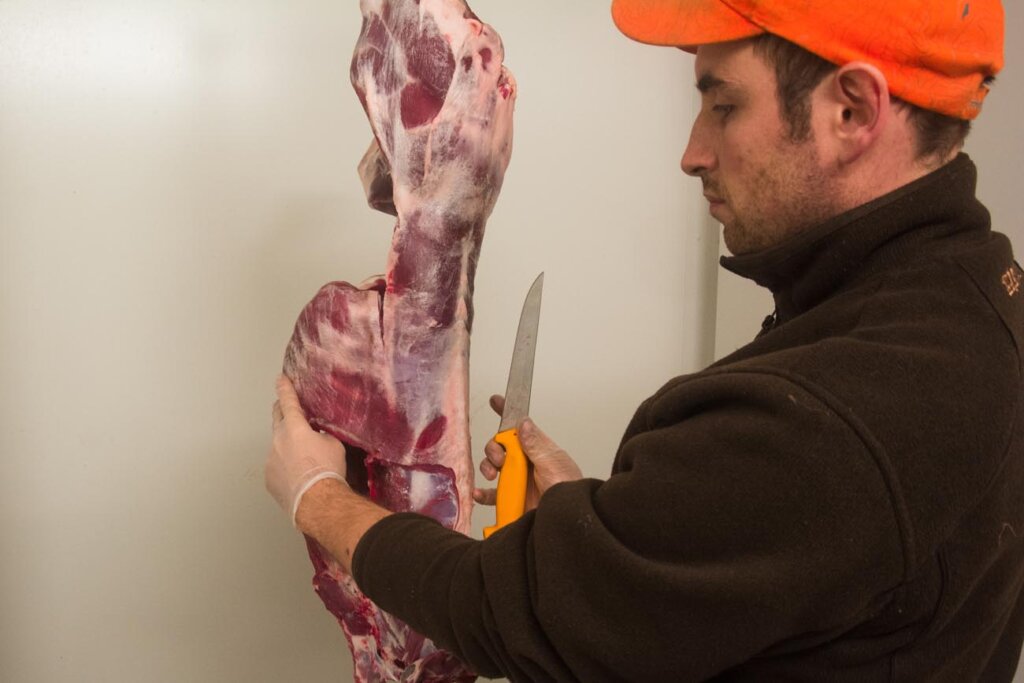 Wildbrethygiene  im Jagdbetrieb- Wildzerlegung Jäger beschauen das Fleisch