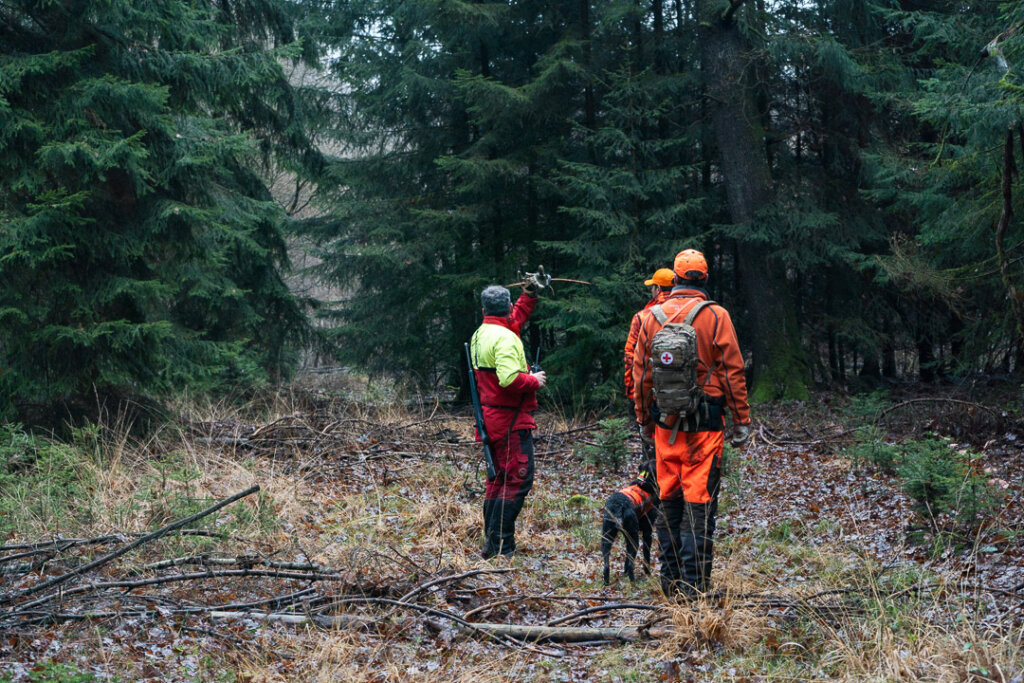 Durchgehschützen auf der Drückjagd je nach Einsatz Sinnvoll, in der Regel jedoch verboten