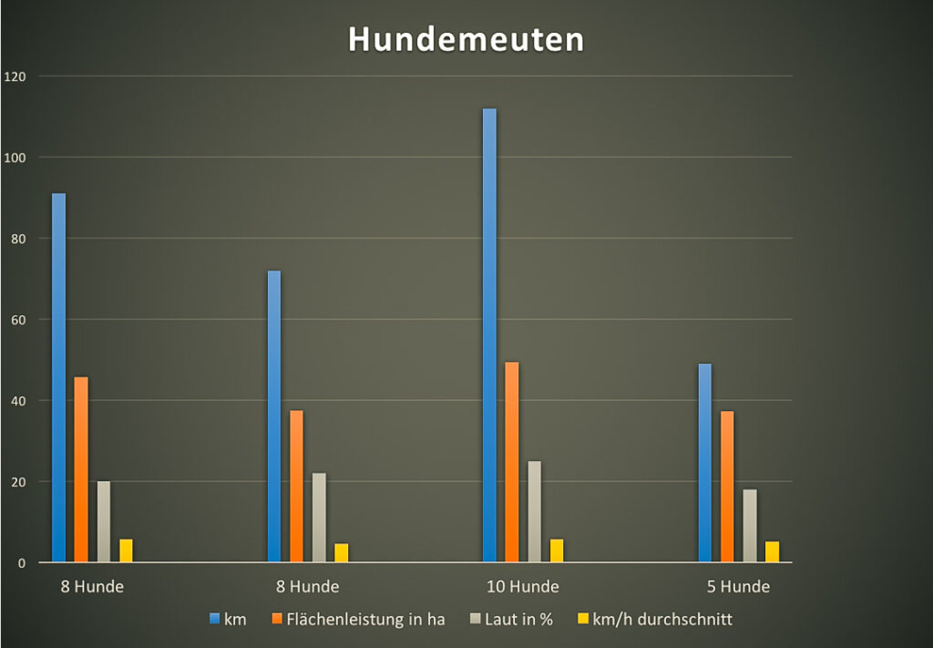 die Leistung der Hundemeuten bei der Drückjagd