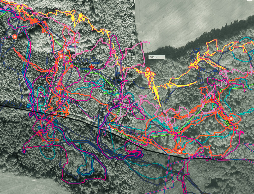 Die Hundearbeit nach der Jagd wird mit der Trackerapp bewertet und alle Laufwege sind sichtbar