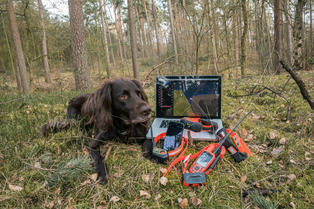 Hundeortungsgeräte von Tracker und Garmin im Vergleich
