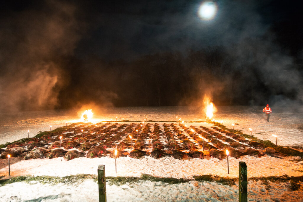 eine Hochwildstrecke im Fackelschein bei Vollmond- Ein dem Drückjagd- Tag entsprechend würdiger Abschluss des Tages