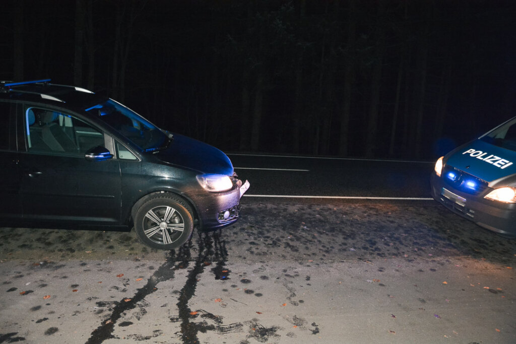 Wildunfall während einer Drückjagd in der Dämmerung mit Polizei