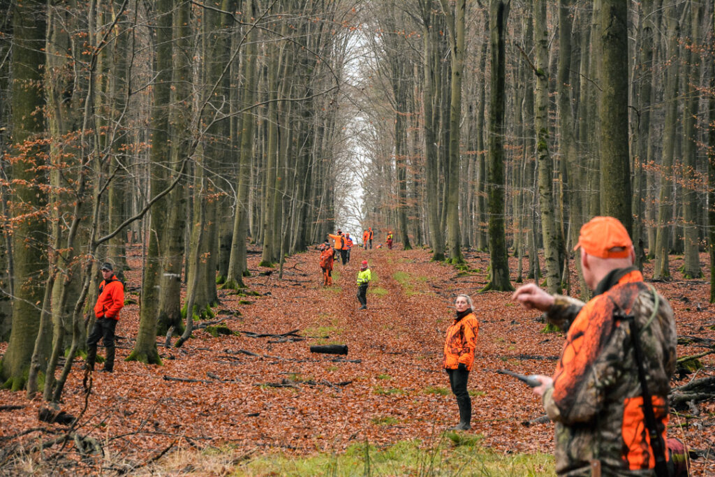 Eine große Treiberwehr auf einer Breiten Schneise richtet sich erneut aus um weiter zu treiben