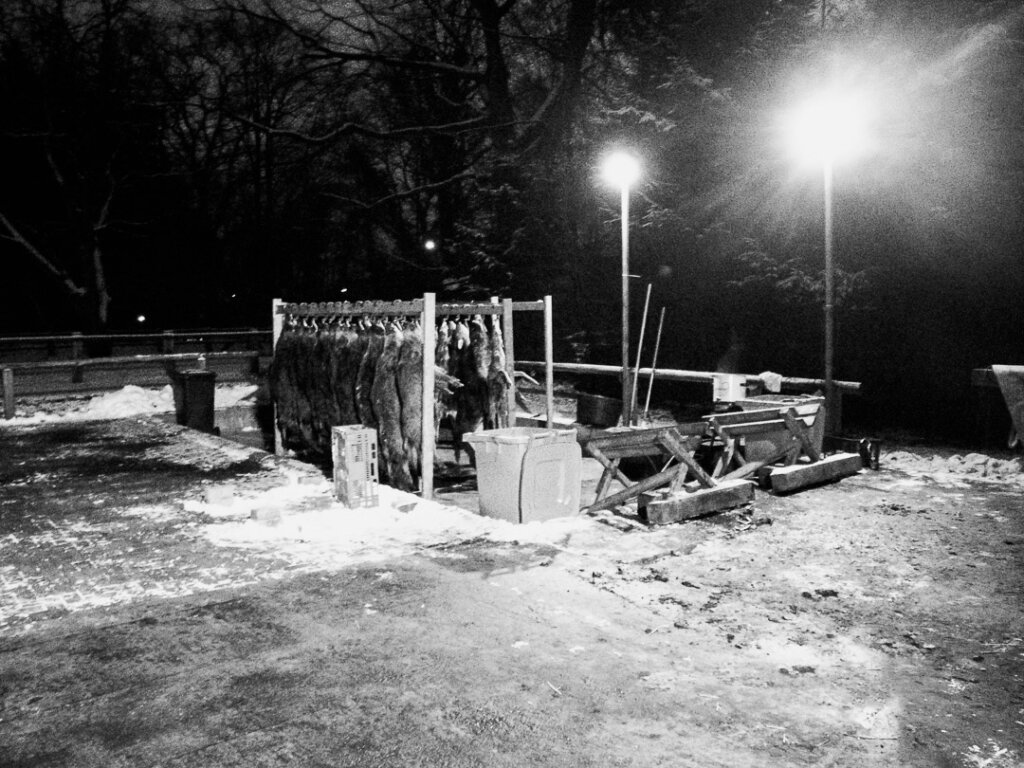 Ein ordentlicher Aufbrechplatz für die gut geplante Drückjagd mit ausreichend Licht und fließendem Wasser