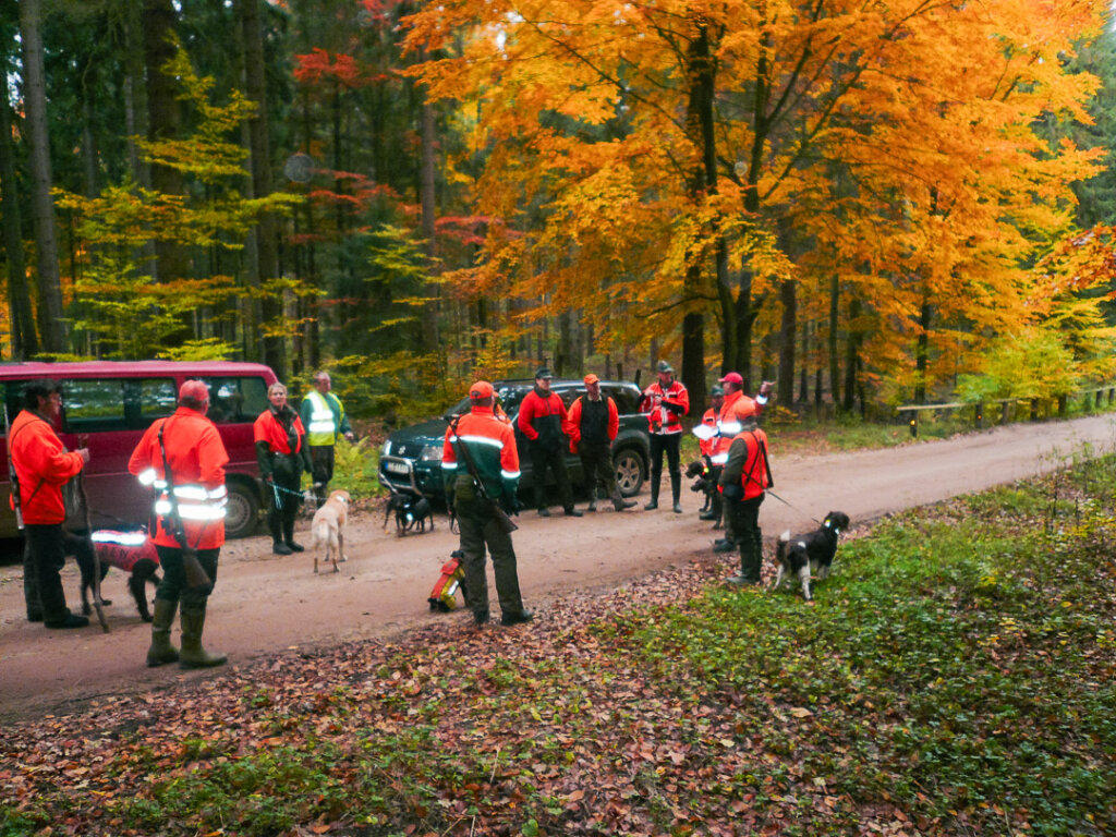 Die Hundeführer erhalten eine separate Einweisung für das Treiben der Drückjagd vom Treiberwehrführer