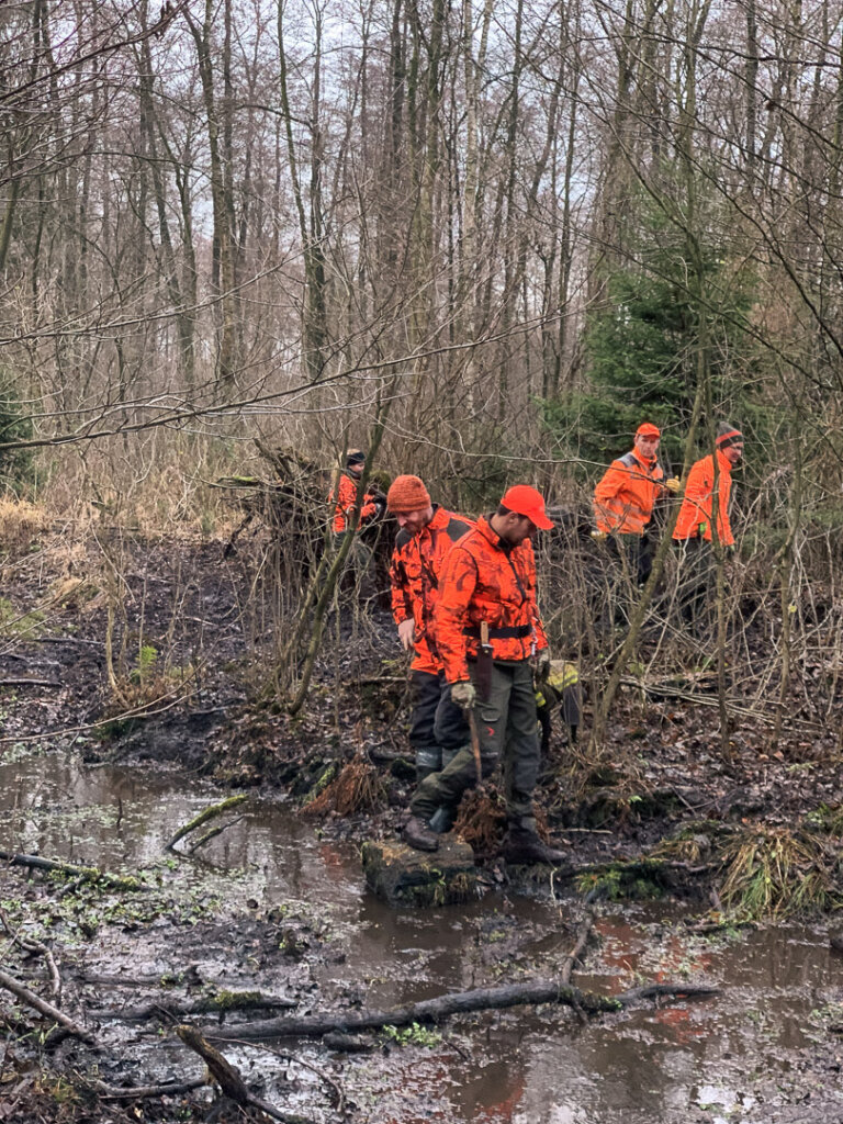 Erfahrene Treiber vor dem Überqueren eines moorigen Grabens bei der Drückjagd in schwierigem Gelände