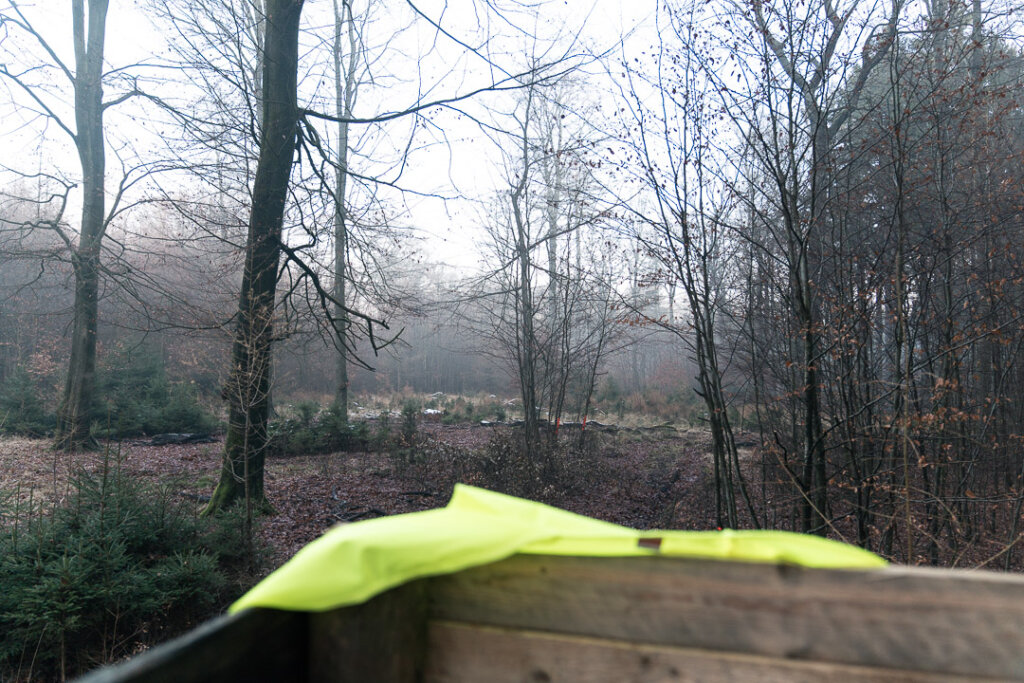 Das Wetter bei der Drückjagd leichter Nebel, kalt, ideal